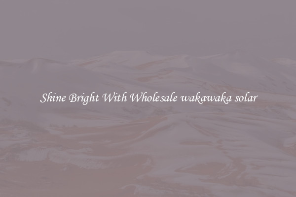 Shine Bright With Wholesale wakawaka solar