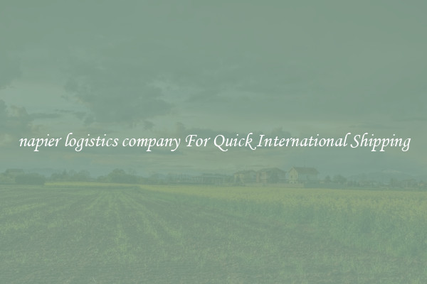 napier logistics company For Quick International Shipping