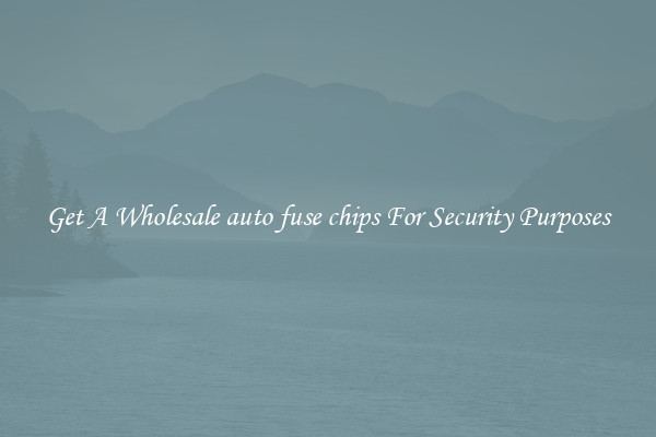 Get A Wholesale auto fuse chips For Security Purposes