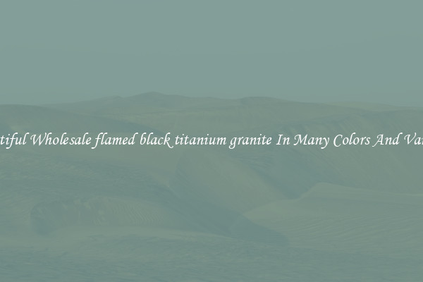 Beautiful Wholesale flamed black titanium granite In Many Colors And Varieties