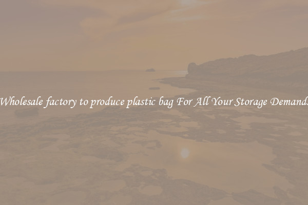 Wholesale factory to produce plastic bag For All Your Storage Demands