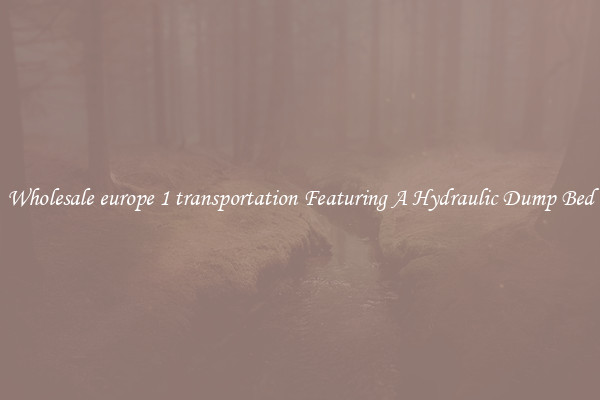 Wholesale europe 1 transportation Featuring A Hydraulic Dump Bed