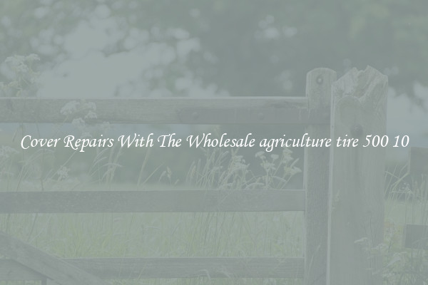  Cover Repairs With The Wholesale agriculture tire 500 10 