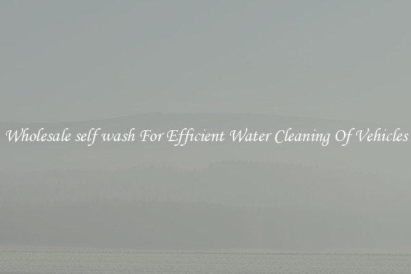 Wholesale self wash For Efficient Water Cleaning Of Vehicles