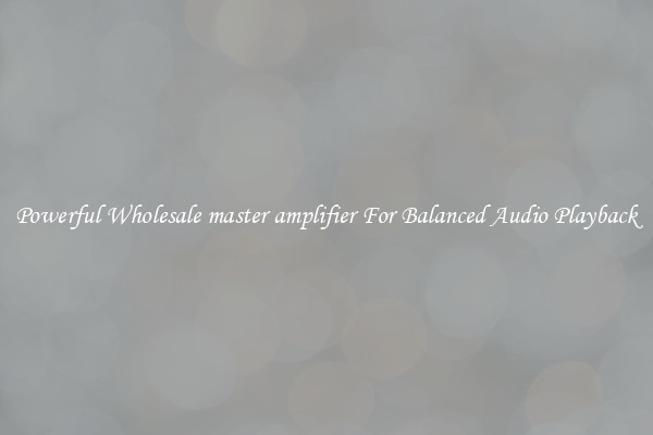 Powerful Wholesale master amplifier For Balanced Audio Playback