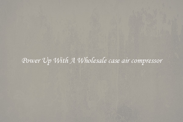 Power Up With A Wholesale case air compressor