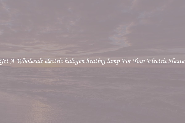 Get A Wholesale electric halogen heating lamp For Your Electric Heater