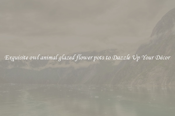 Exquisite owl animal glazed flower pots to Dazzle Up Your Décor 