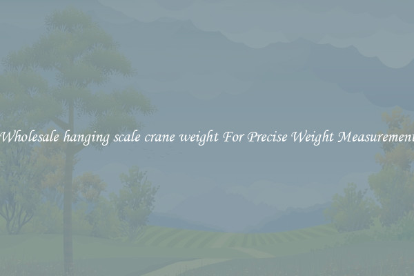 Wholesale hanging scale crane weight For Precise Weight Measurement