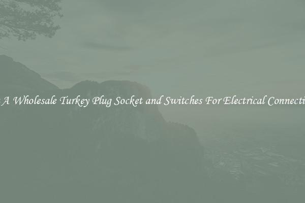 Get A Wholesale Turkey Plug Socket and Switches For Electrical Connectivity