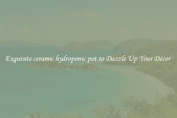 Exquisite ceramic hydroponic pot to Dazzle Up Your Décor 