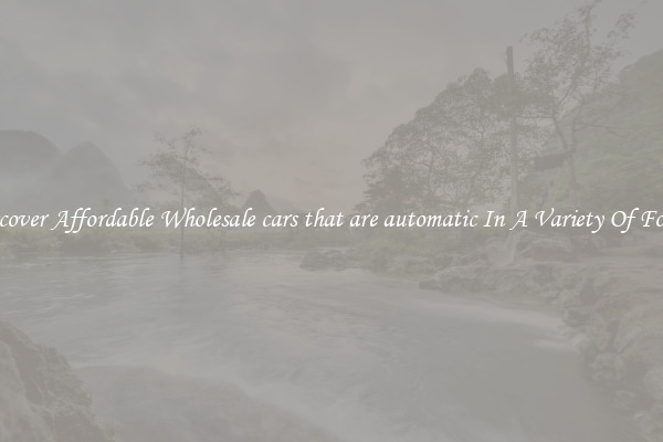 Discover Affordable Wholesale cars that are automatic In A Variety Of Forms