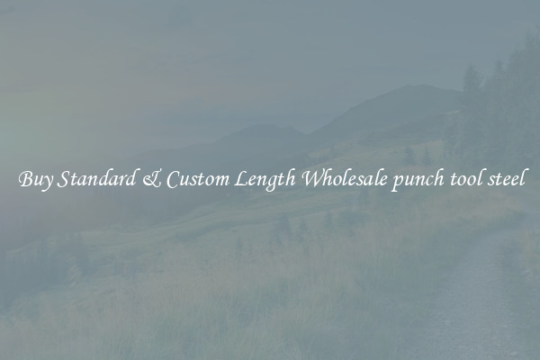 Buy Standard & Custom Length Wholesale punch tool steel